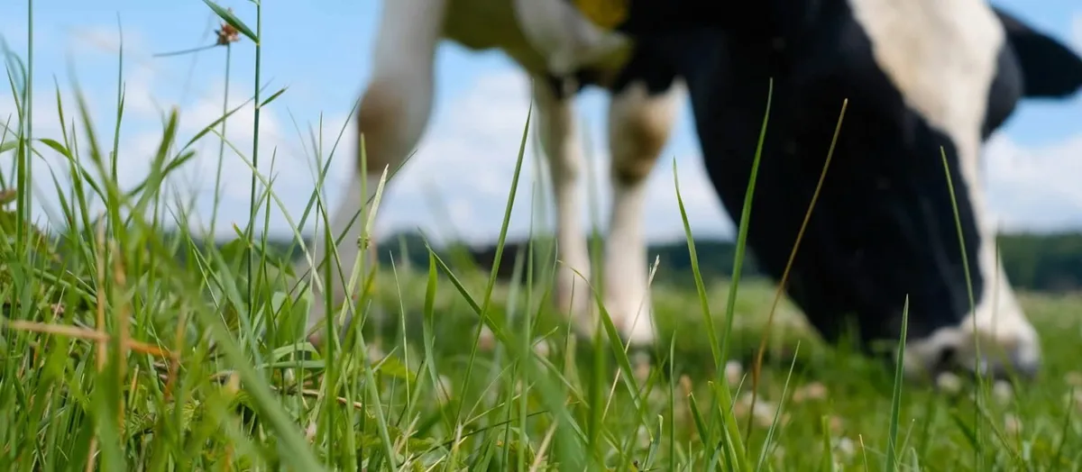 Agriphos  Phosphate and Potash Fertiliser - Image 1