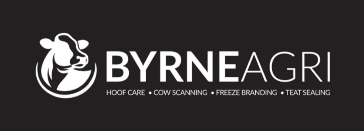 Hoof trimming and scanning - Image 2