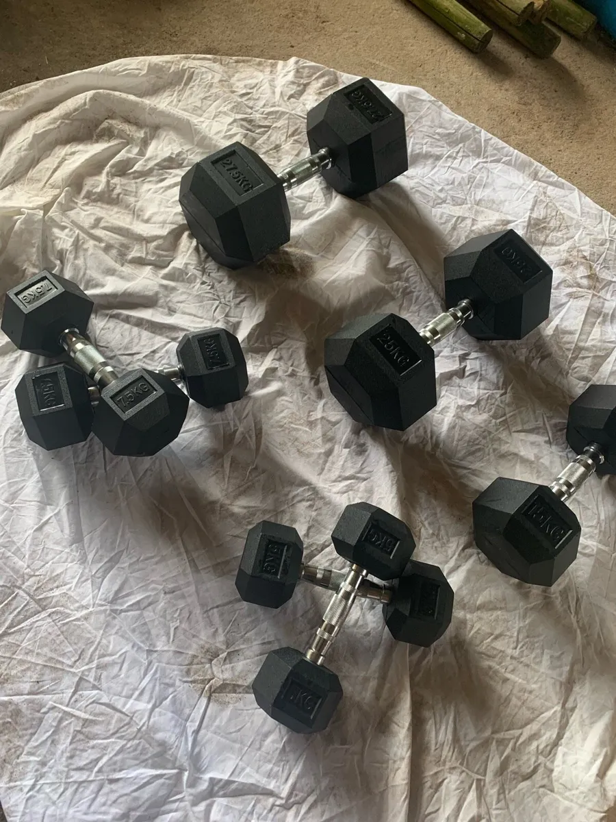 Gym Weights - Image 2