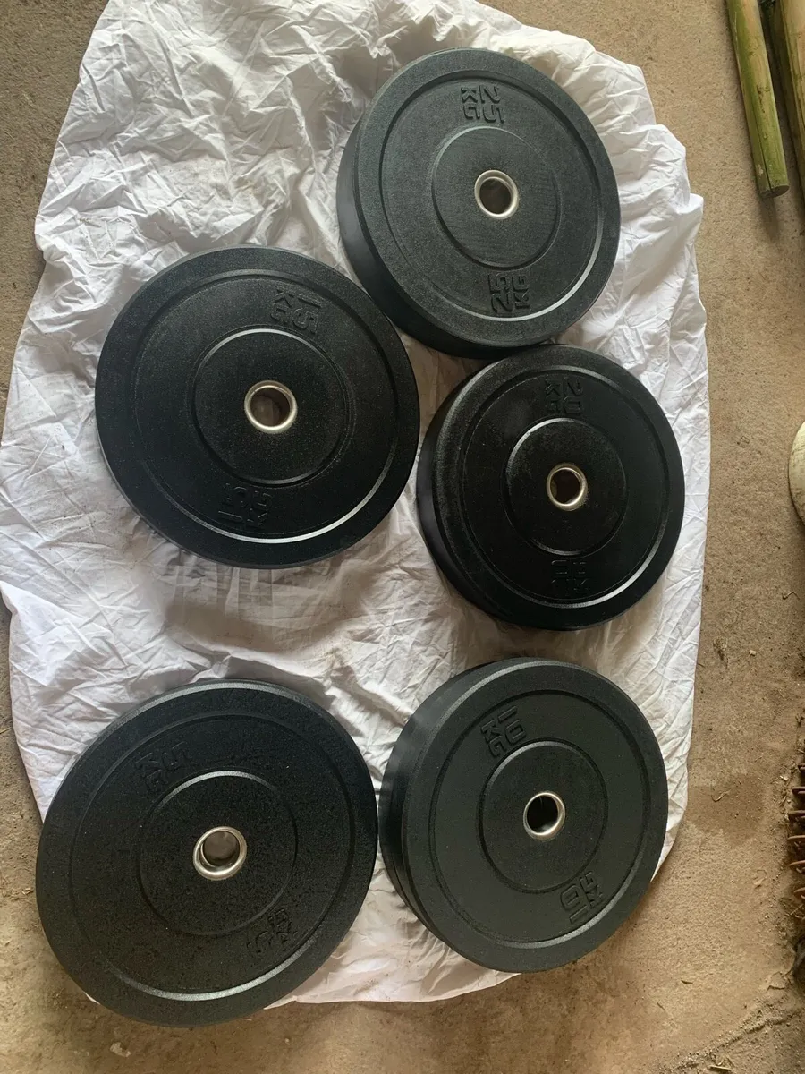 Gym Weights - Image 3