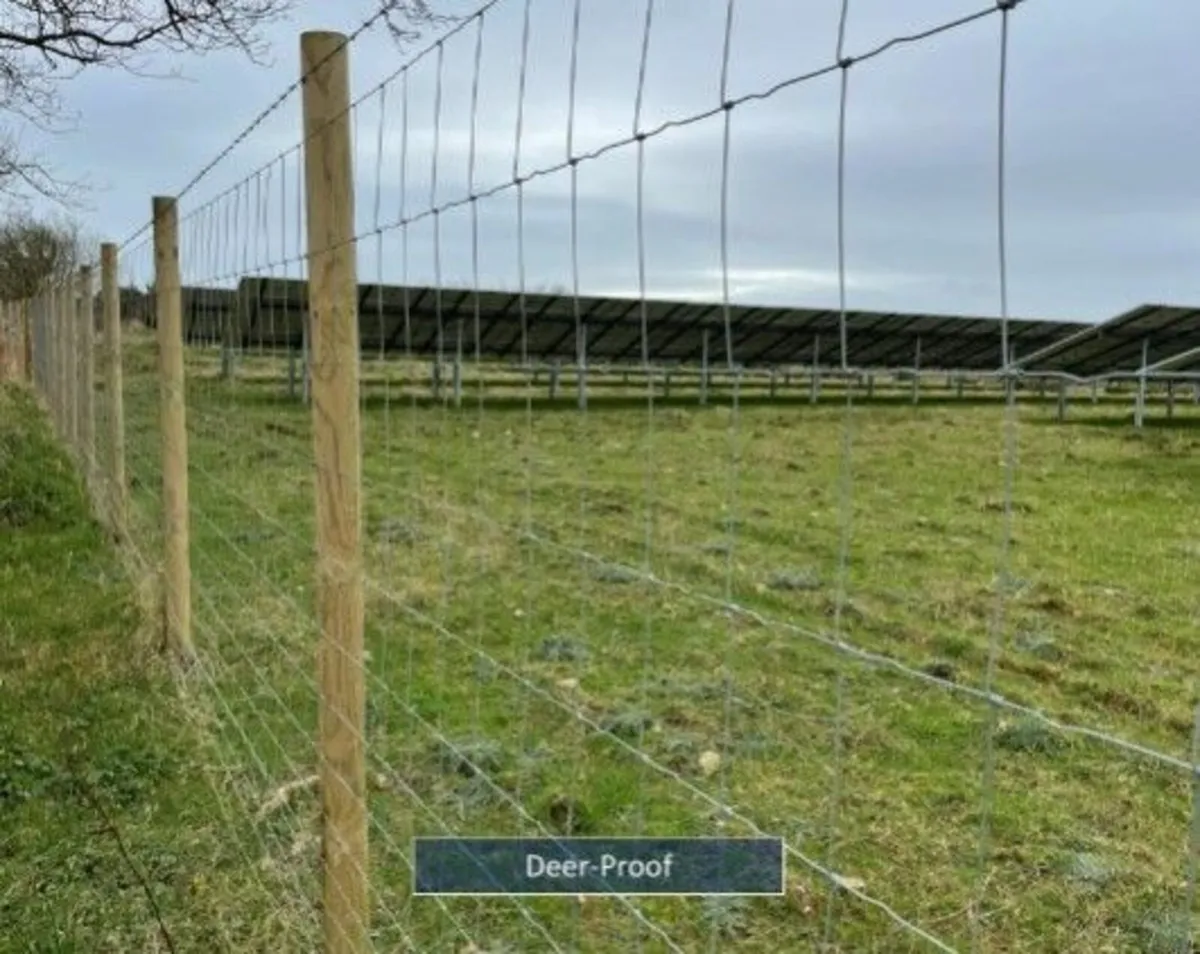 Deer Fencing-Solar Farm Fencing /Chainlink Fencing - Image 1