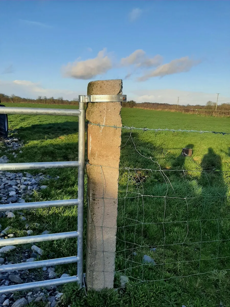 Concrete sleepers  posts - Image 4