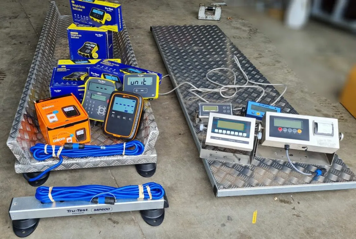 NEW Cattle scales & Repair any brand service. - Image 2