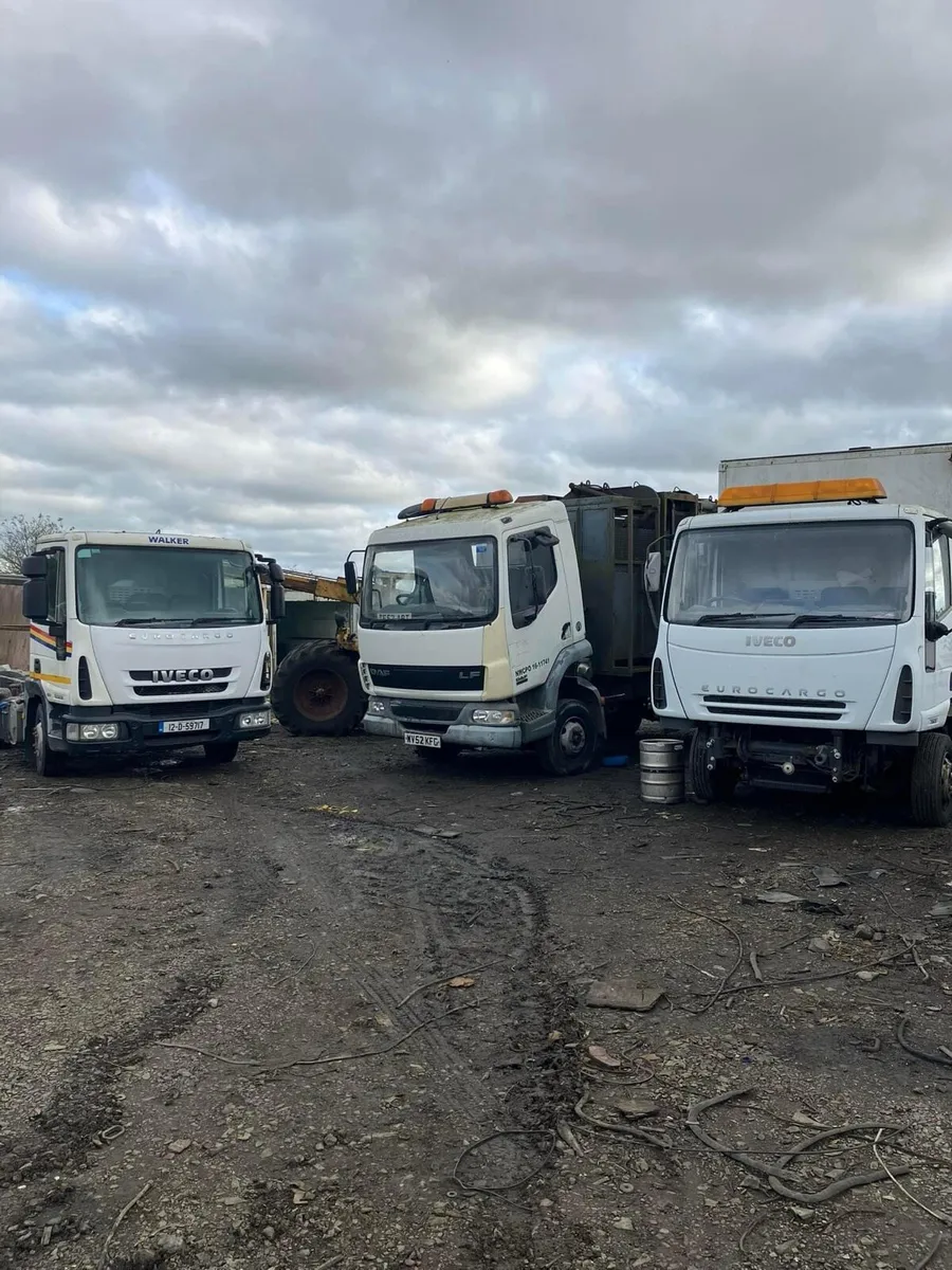 Breaking Daf lf Iveco - Image 4