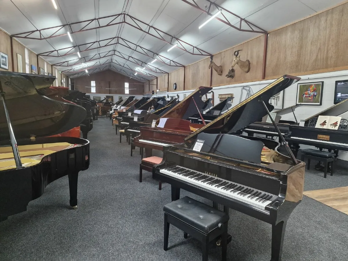 Belfast Piano Irelands Largest Piano Store yamaha - Image 4
