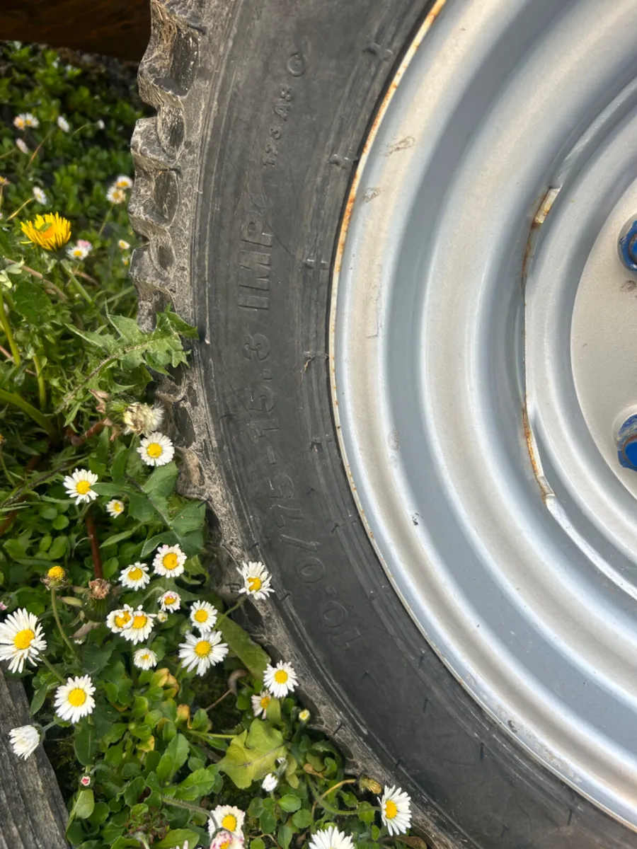 Watson Roller - Image 4