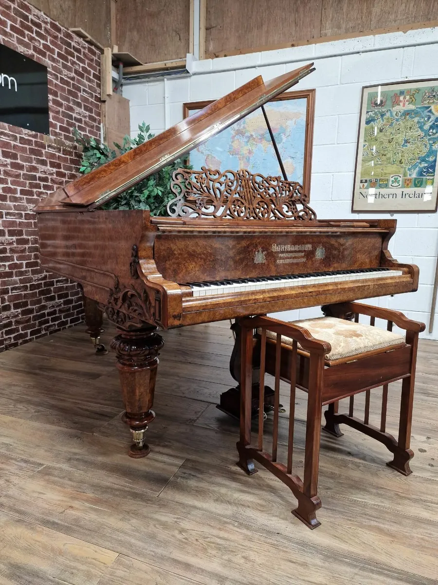 Schiedmayer Grand Piano | French Burr Walnut