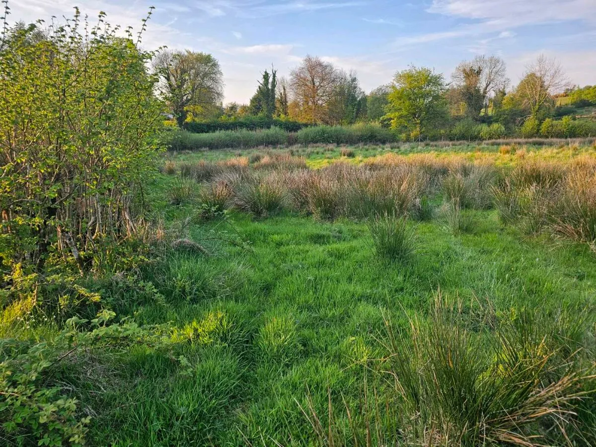 Quad mulching available - Image 2