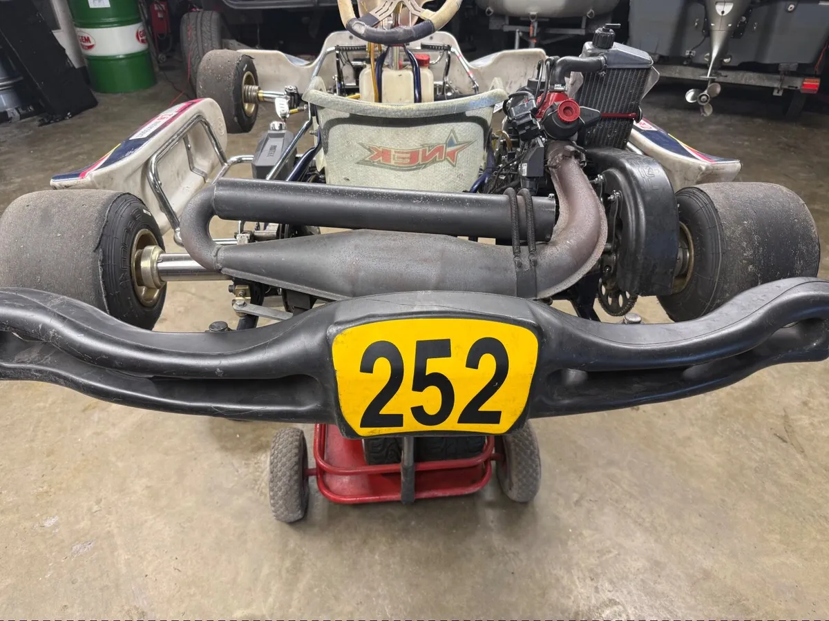 Go Kart Rotax max evo senior 125 - Image 1