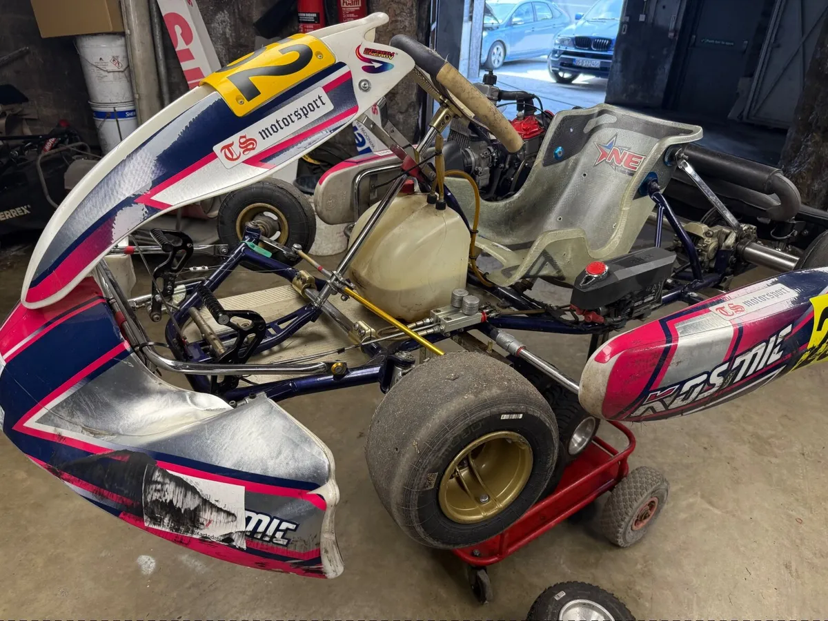 Go Kart Rotax max evo senior 125 - Image 3