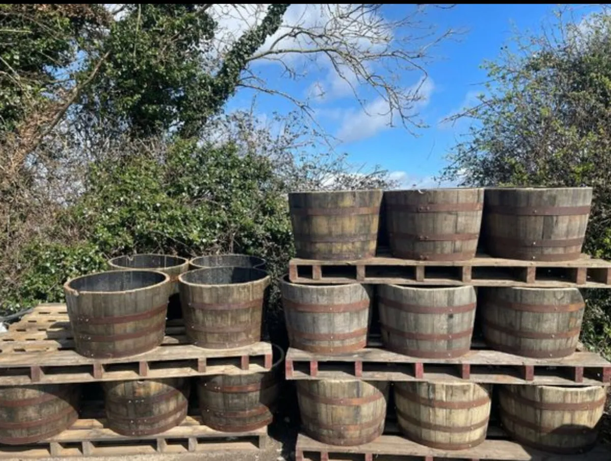 Oak whiskey planters - Image 3