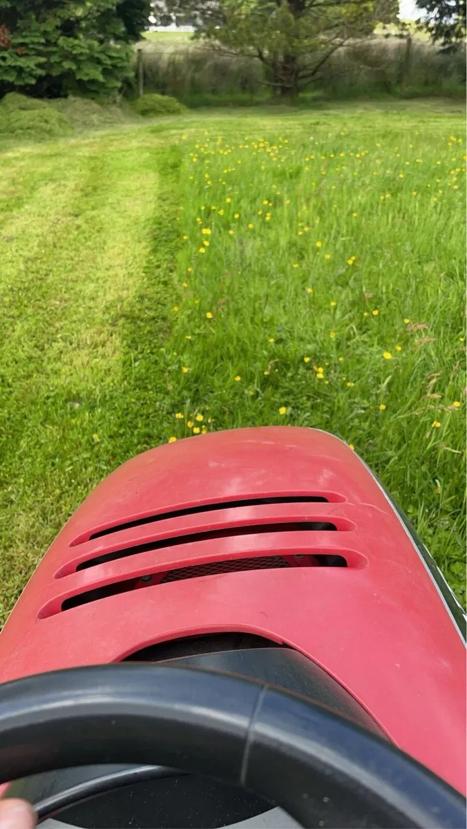 Lawn care / strimming - Image 4