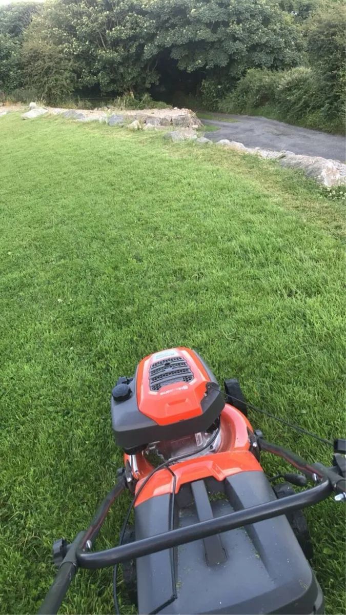 Lawn care / strimming - Image 2