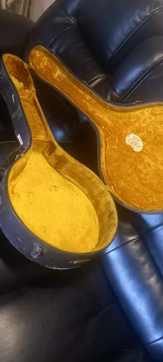 Antique 1920's Ludwig Banjo Hardcase - Image 2