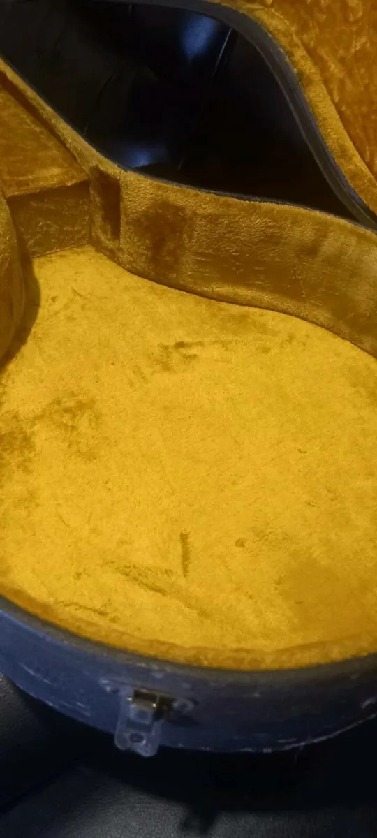 Antique 1920's Ludwig Banjo Hardcase - Image 3