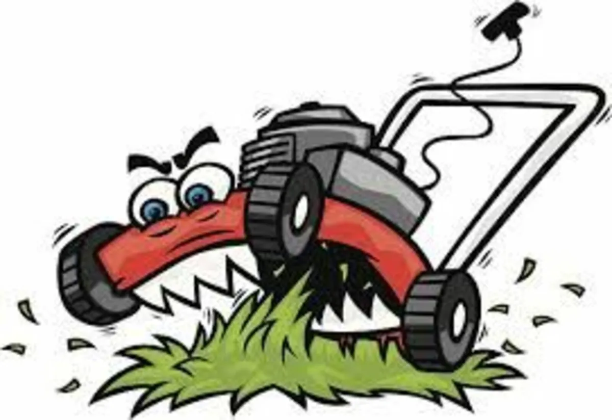 Lawnmower & Small Engine Repairs