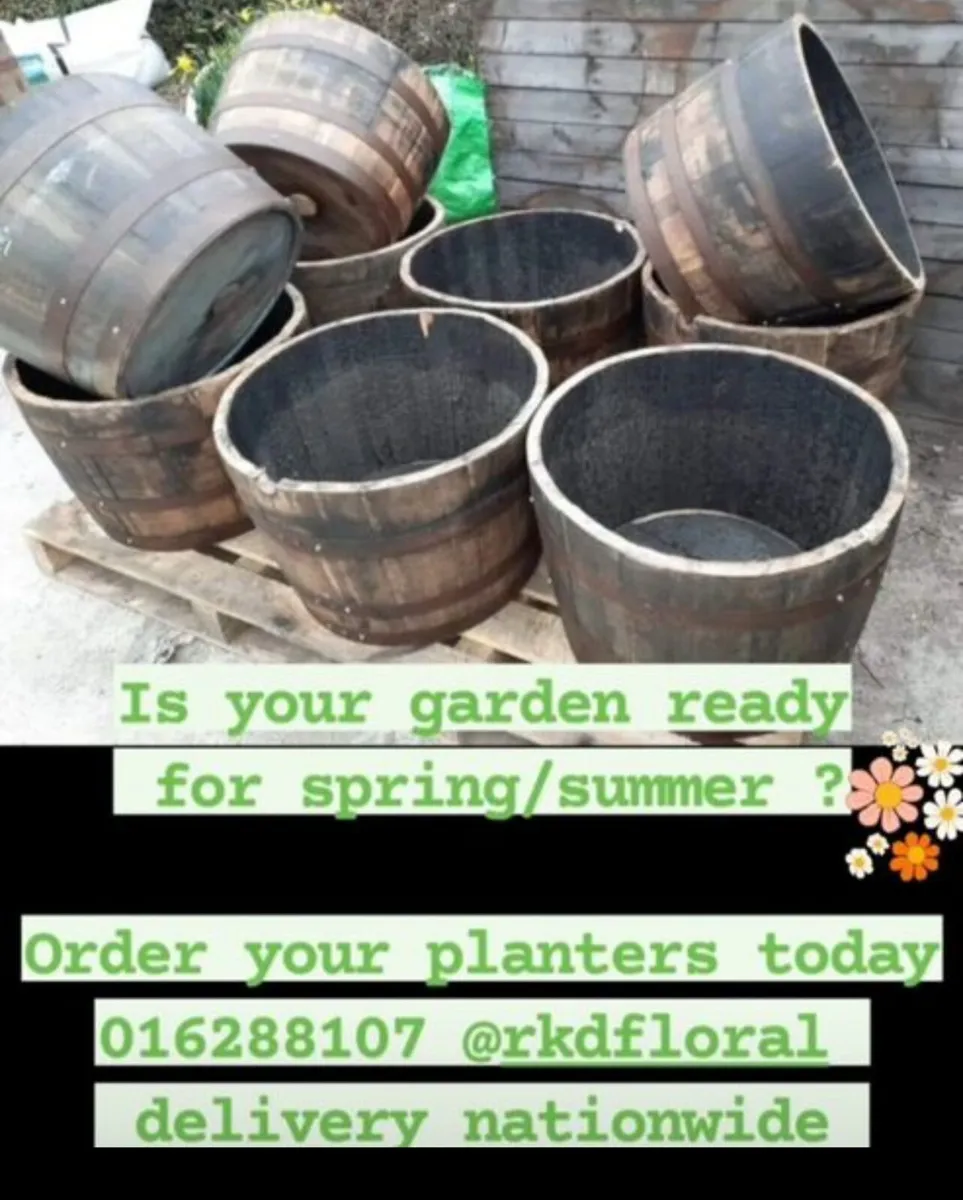 Planters- oak barrels - Image 4