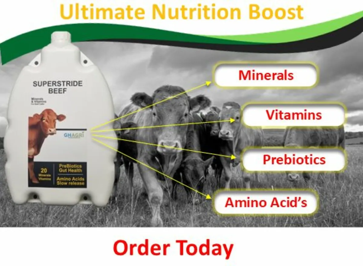 Order Chelated  Mineral + Vitamins (Galway) - Image 1