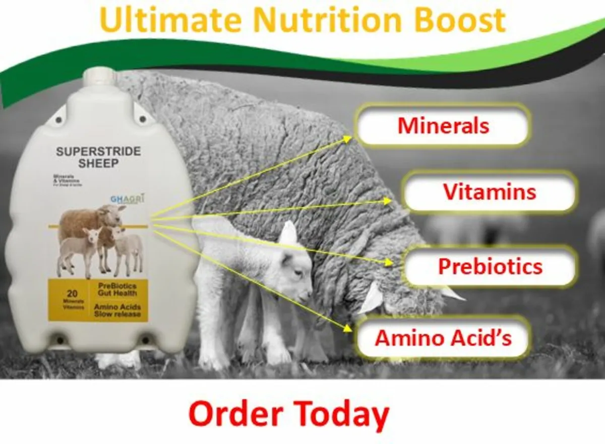 Ultimate Nutrition Boost Slow Release - Image 2