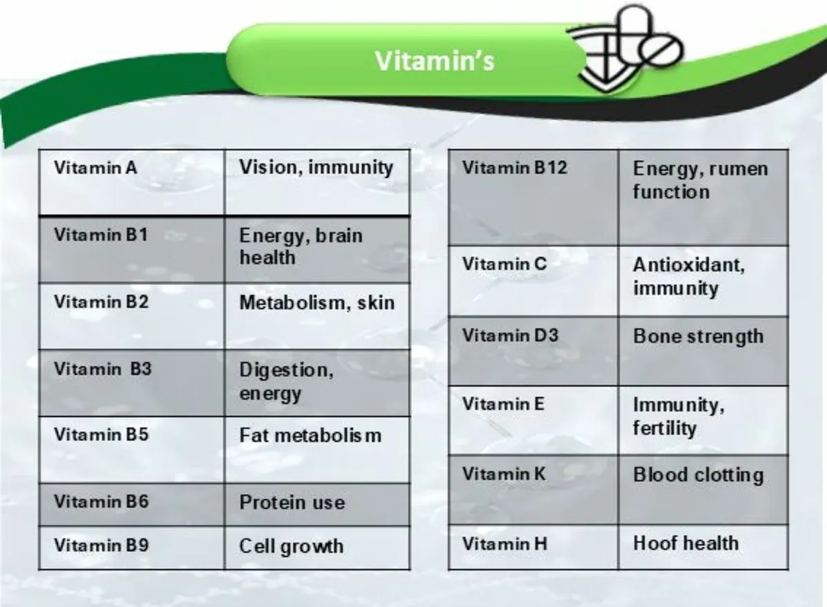 Ultimate Nutrition Boost Slow Release - Image 4