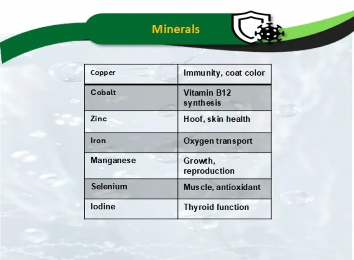 New Product Alert !!!! - Image 4