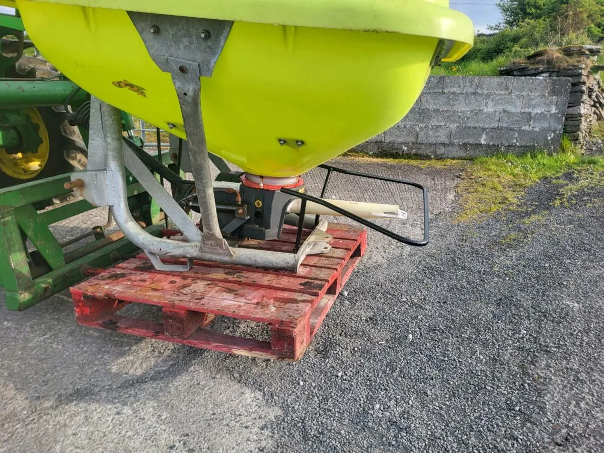 Rocha and cosmo - Image 2