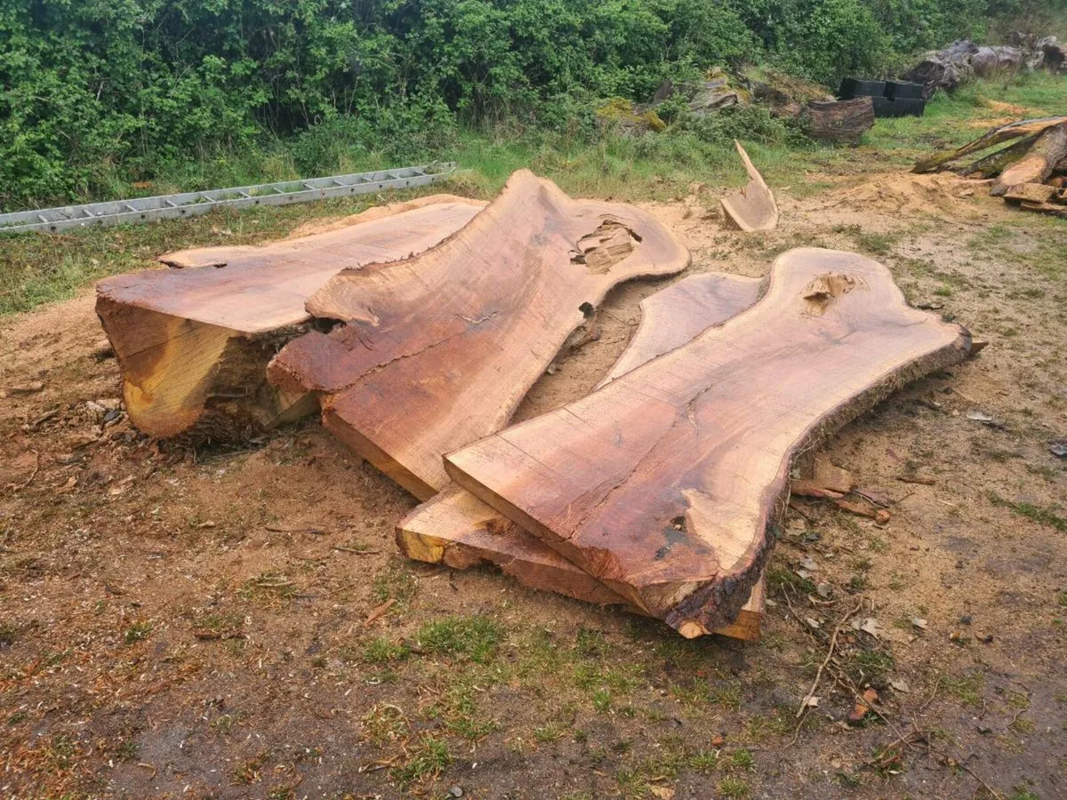 Mobile timber,tree milling and surgery - Image 3