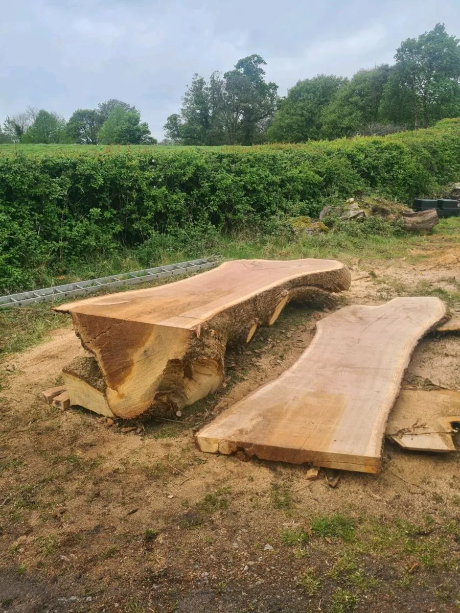 Mobile timber,tree milling and surgery - Image 1