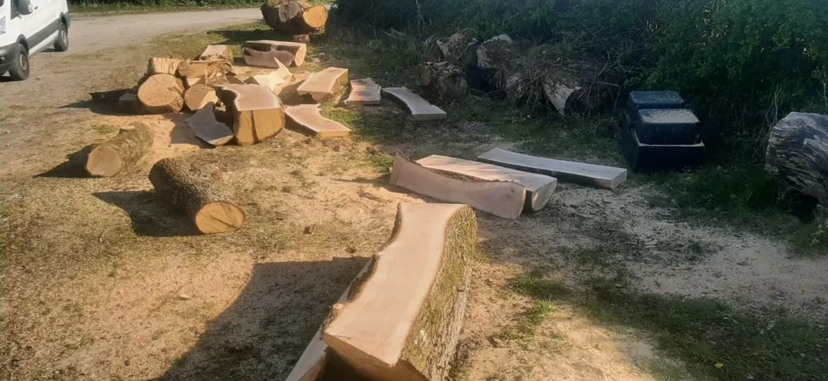 Mobile timber,tree milling and surgery - Image 4