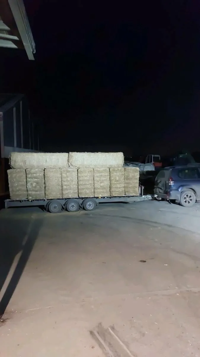 Alfalfa & Spanish milled straw - Image 2