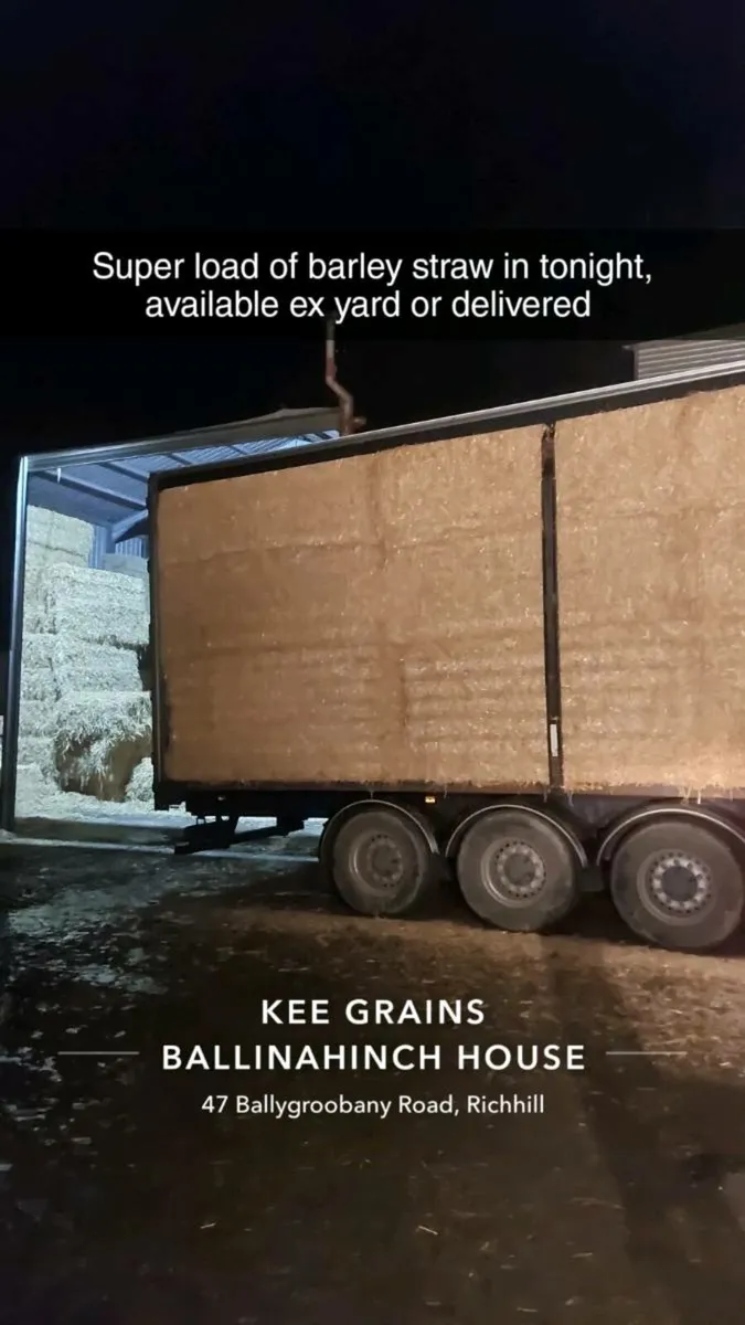 Alfalfa & Spanish milled straw - Image 1