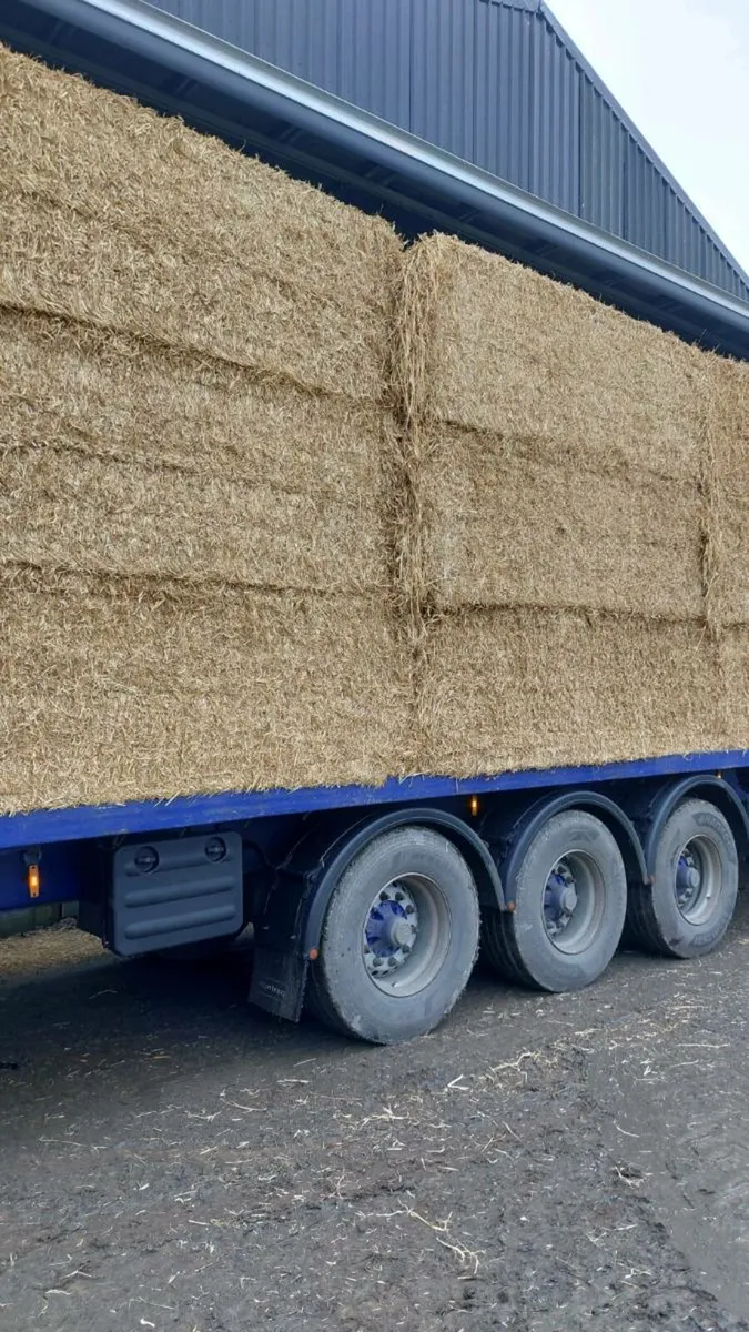 Alfalfa & Spanish milled straw - Image 3