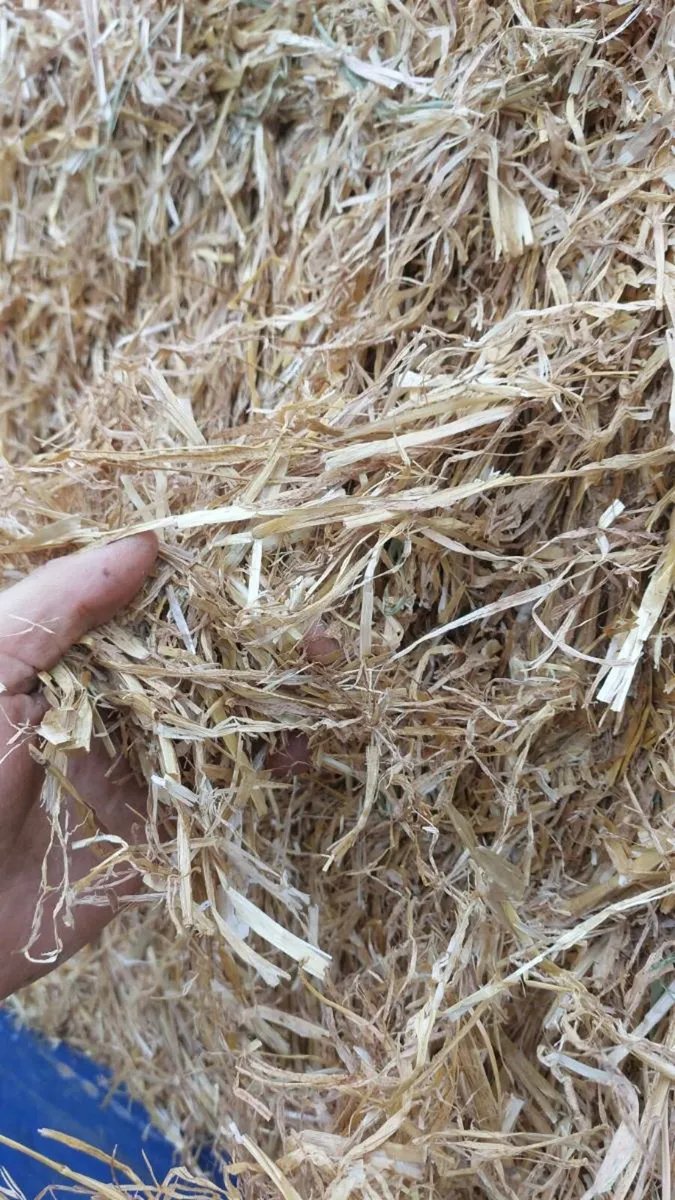 Alfalfa & Spanish milled straw - Image 4