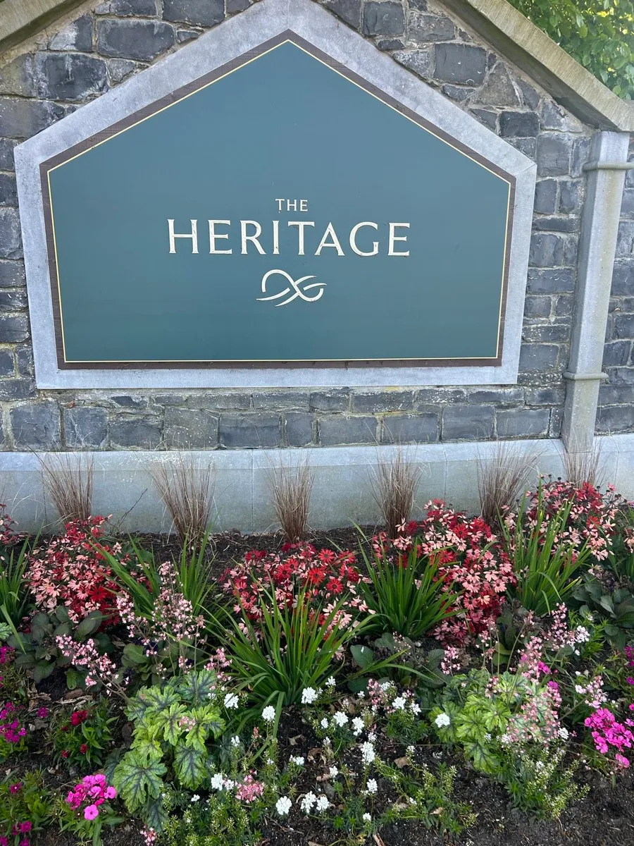 Dublin Black Kelp Limestone Building Stone - Image 4