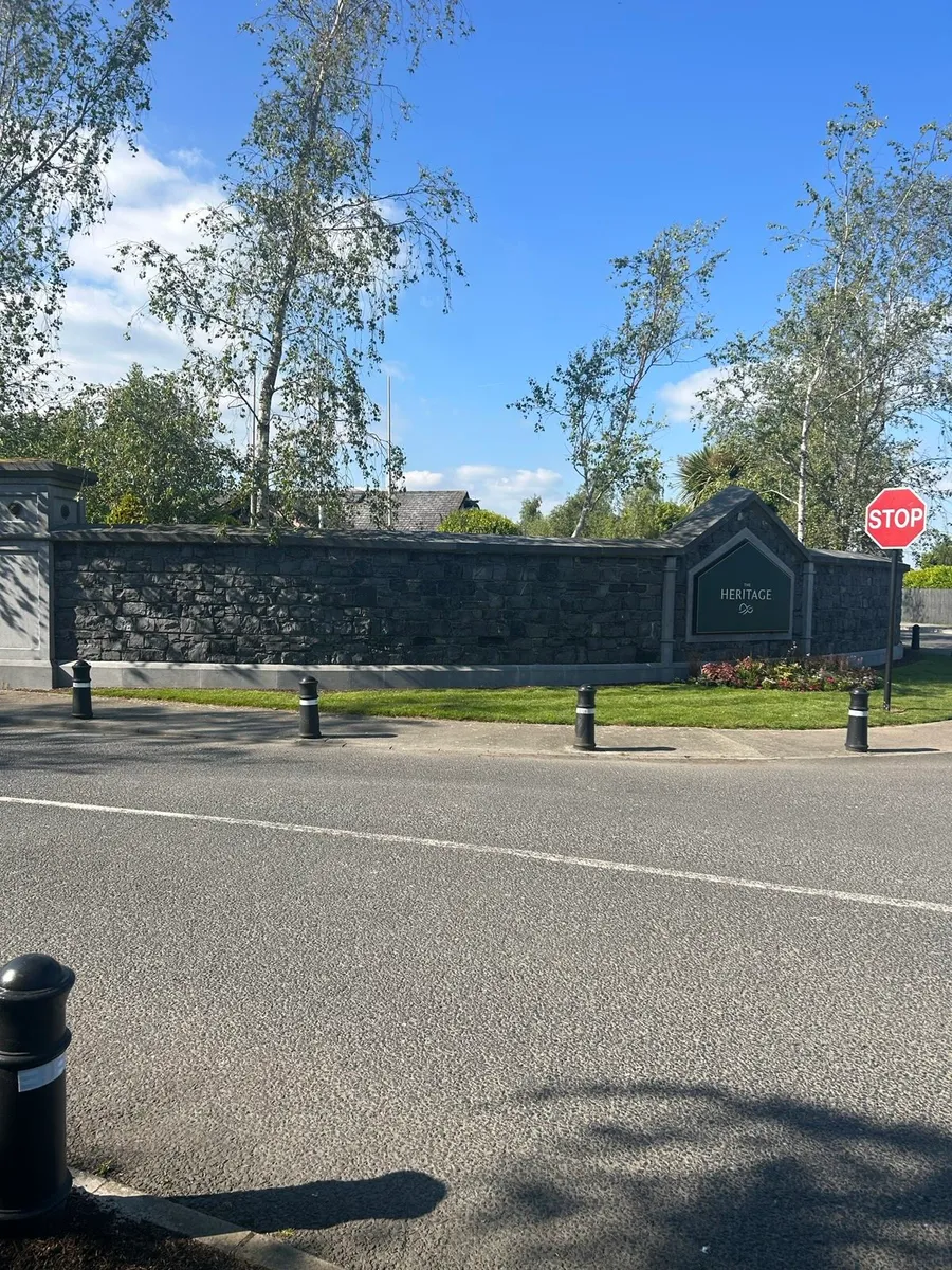 Dublin Black Kelp Limestone Building Stone - Image 1