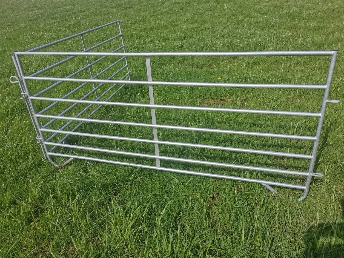 Sleigh Type Sheep Hurdles - Image 2