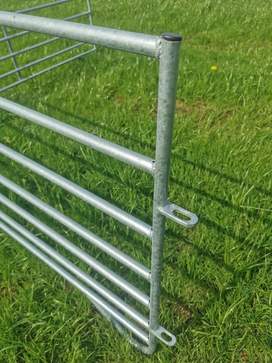 Sleigh Type Sheep Hurdles - Image 3