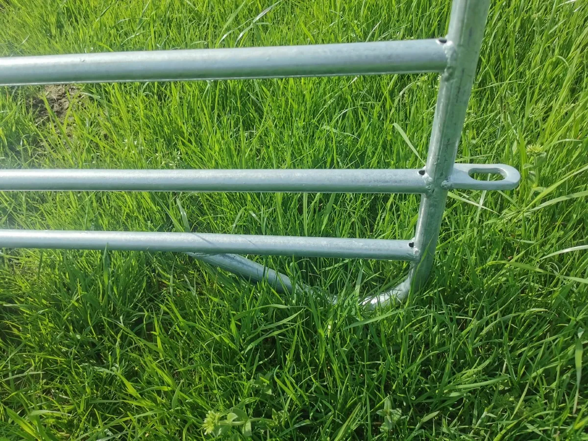 Sleigh Type Sheep Hurdles - Image 4