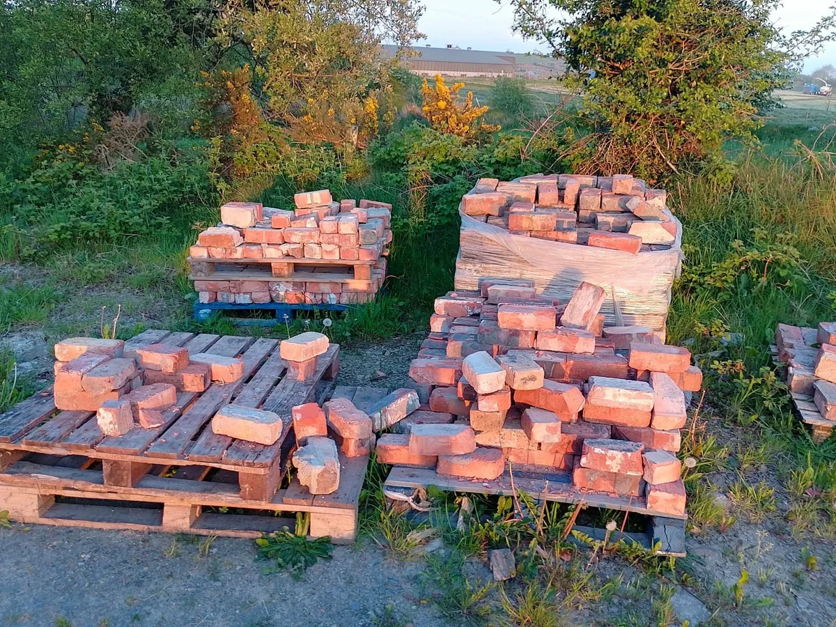 Reclaimed bricks - Image 3