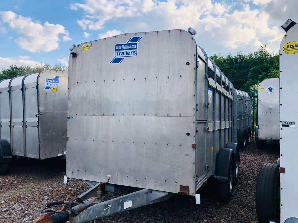 Ifor Williams Cattle Trailer 12x6 - Image 3