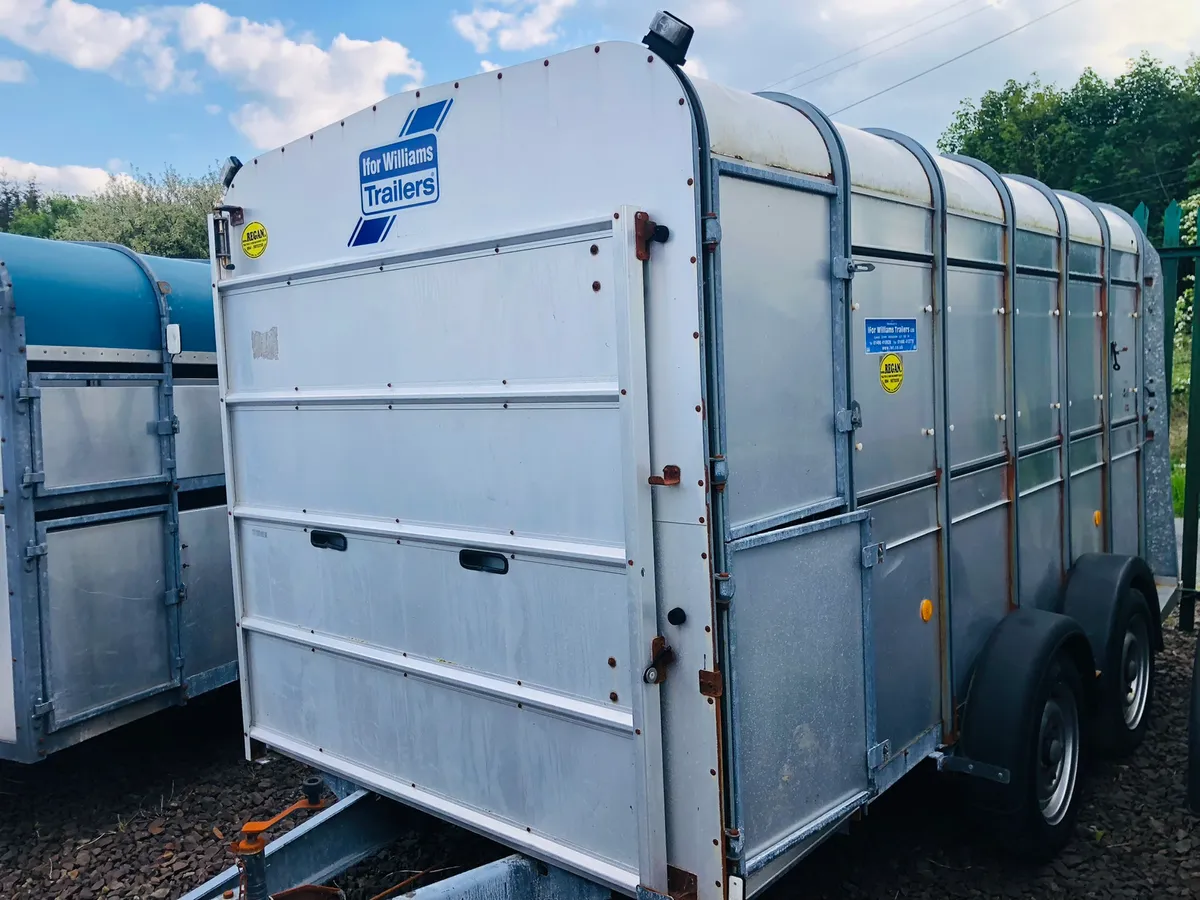 Ifor Williams Cattle Trailer  - Sheep Decks - Image 2