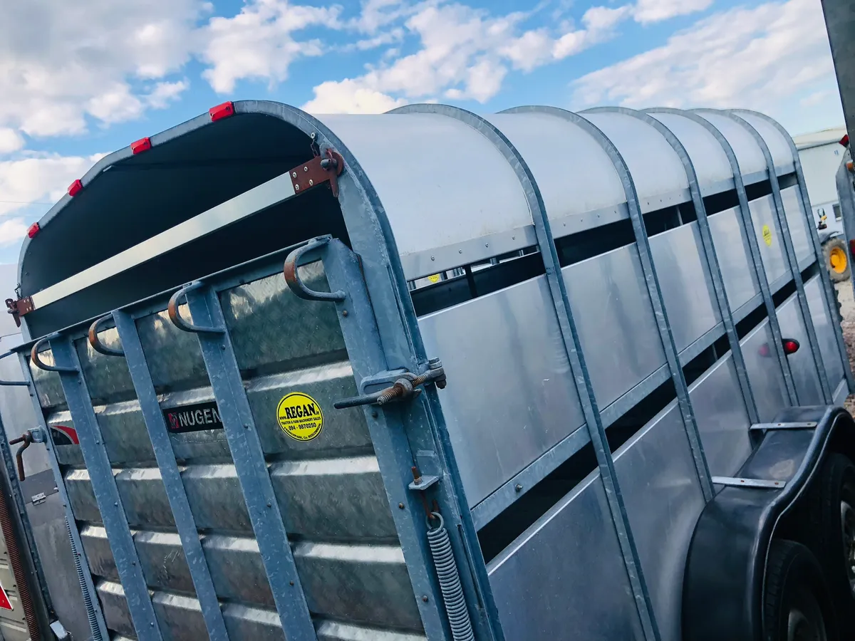 Nugent Cattle Trailer 12x6 - Image 3