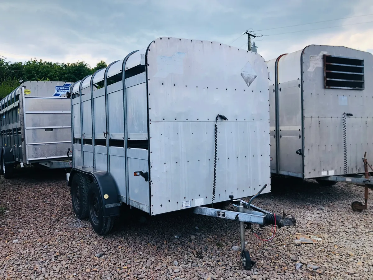 Ifor Williams Cattle Trailer 10x6 - Image 2