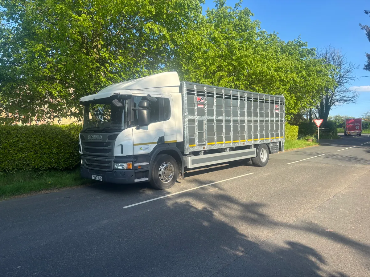 Scania p250 cattle lorry - Image 1