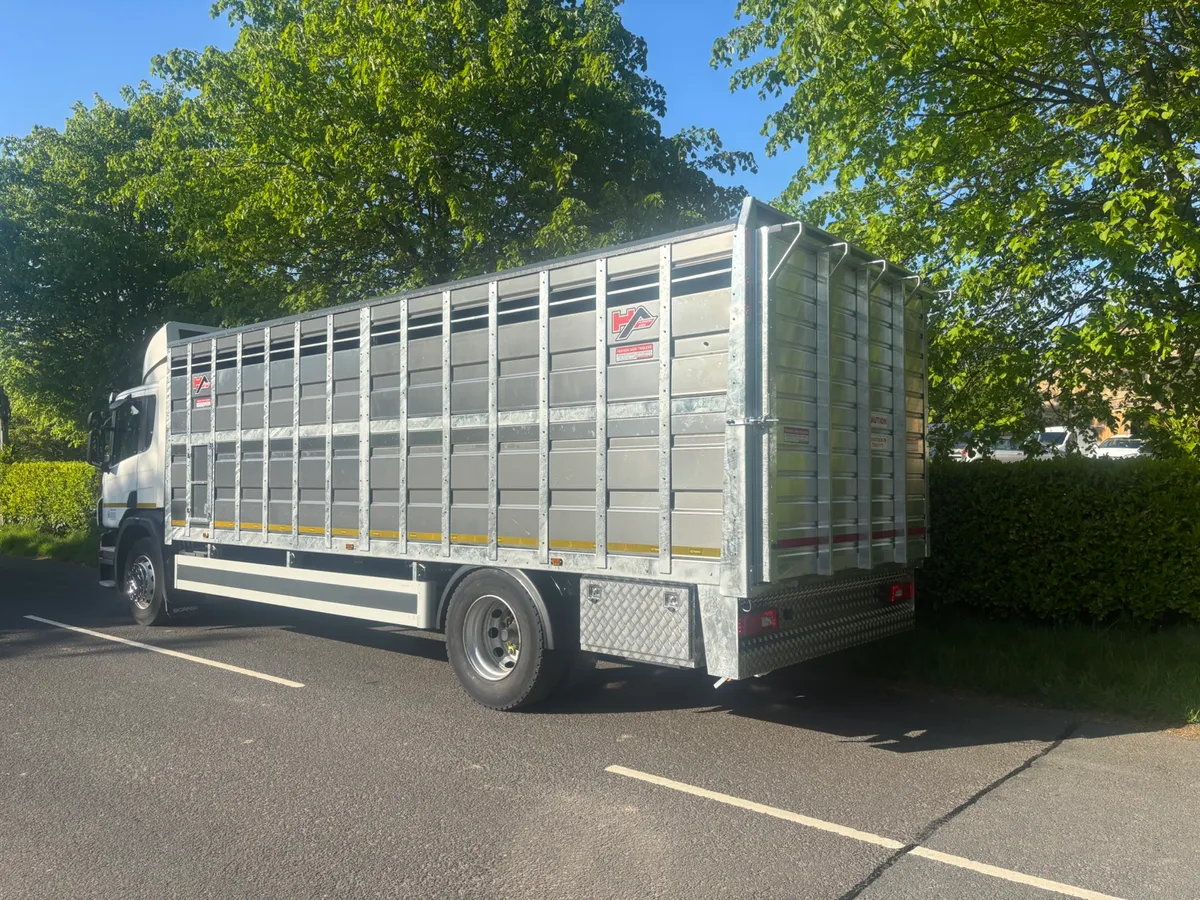 Scania p250 cattle lorry - Image 3