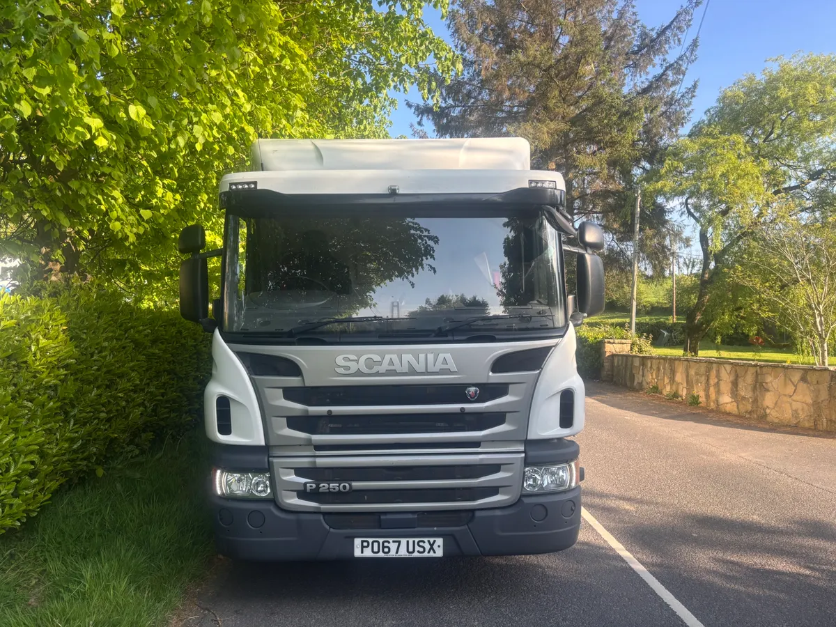 Scania p250 cattle lorry - Image 4