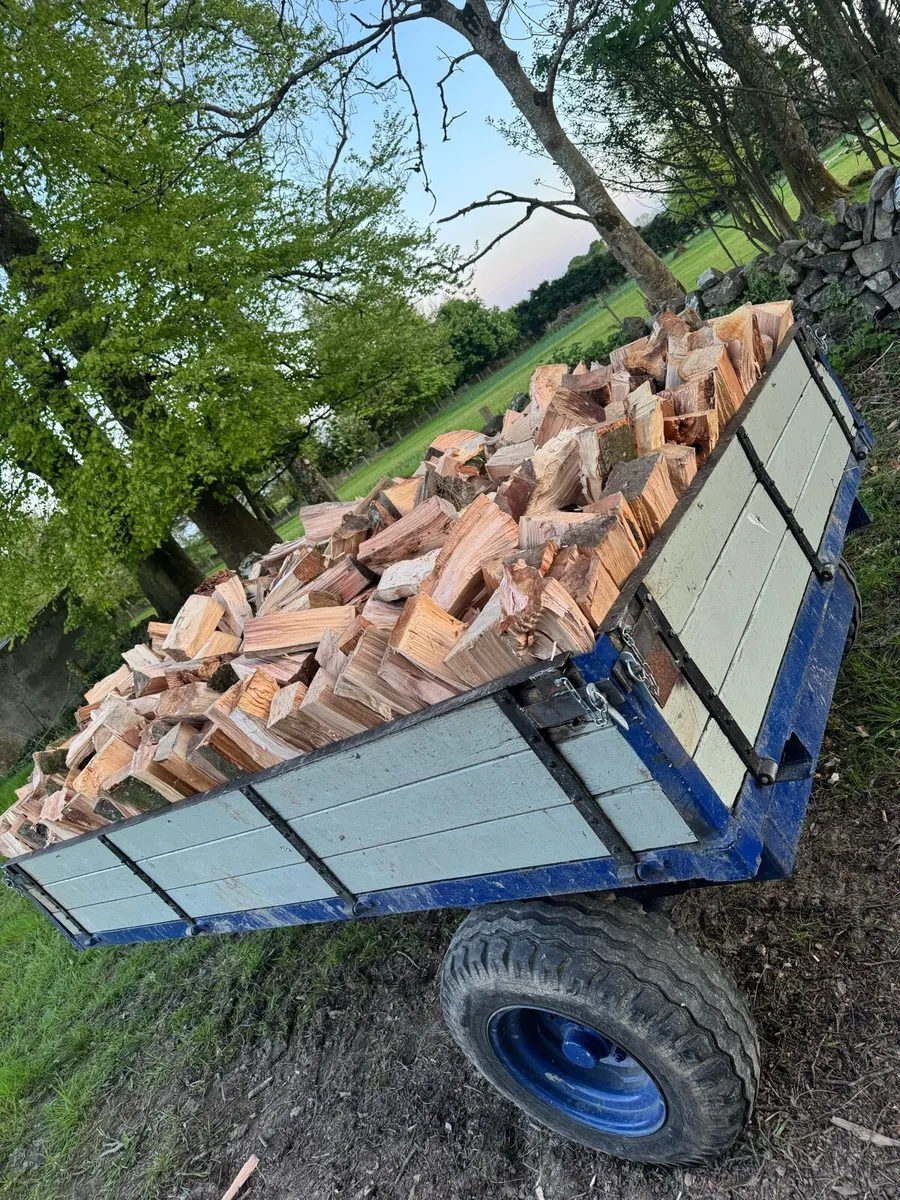 Beech Firewood - Image 2