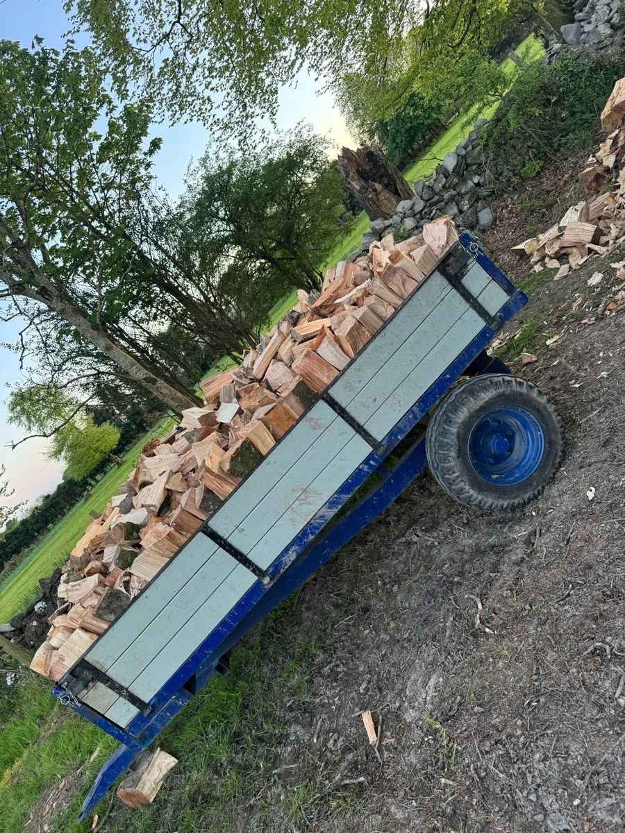 Beech Firewood - Image 3