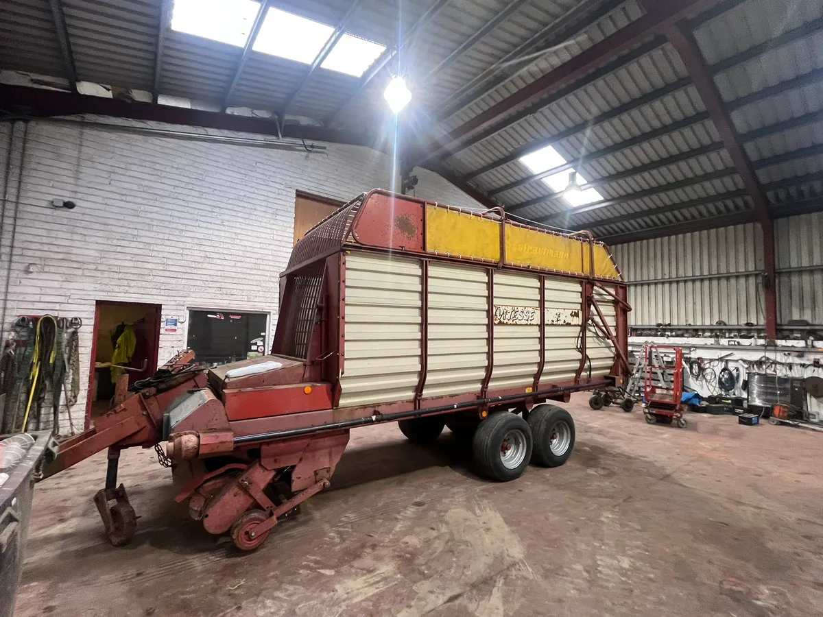 Silige wagan - Image 3