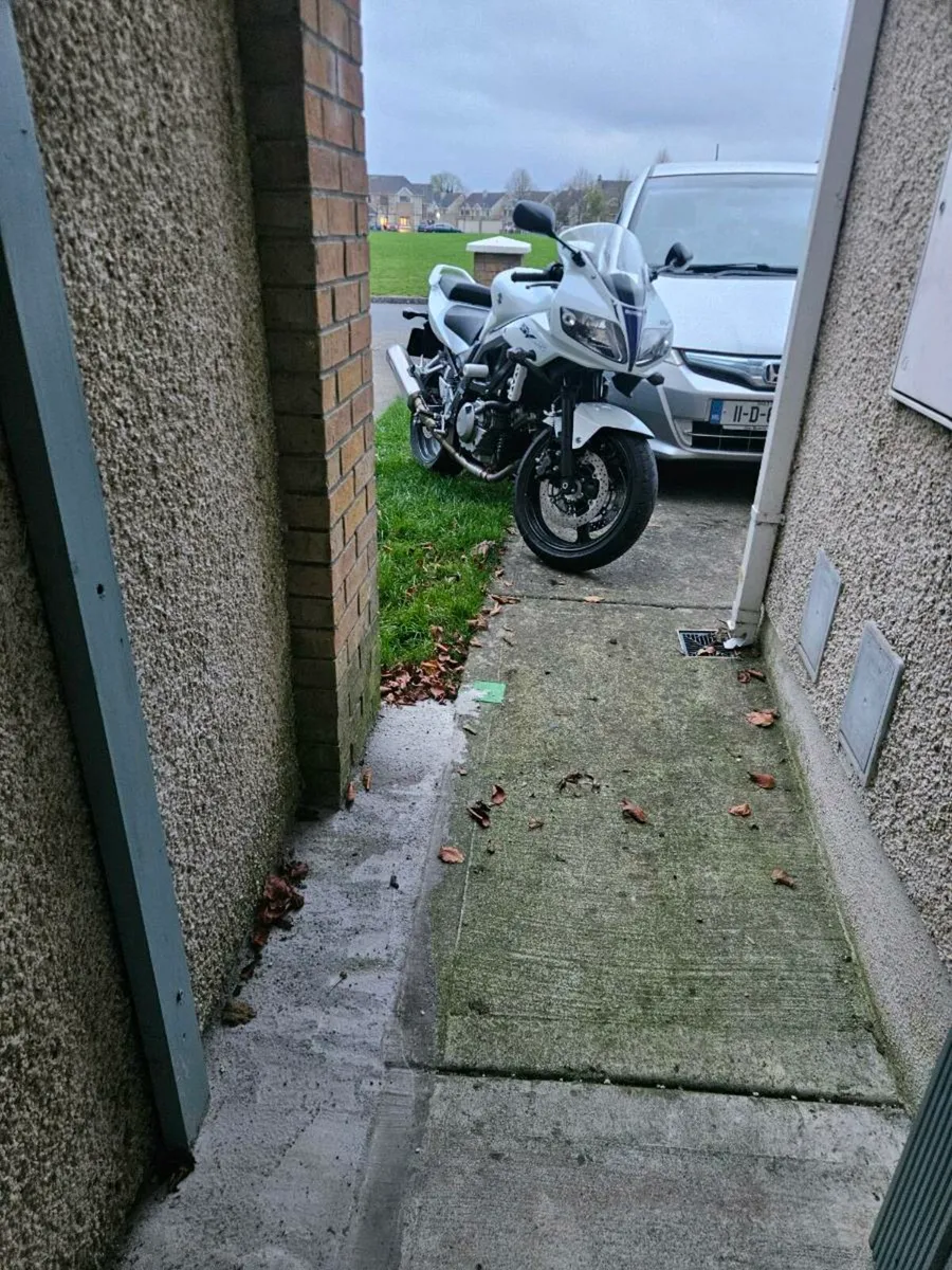 Suzuki sv 650s - Image 2